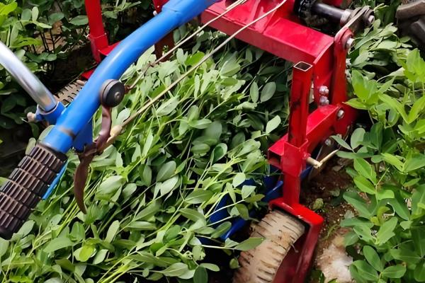 花生剥壳机是如何工作，脱壳后花生壳会被风力吹出机外