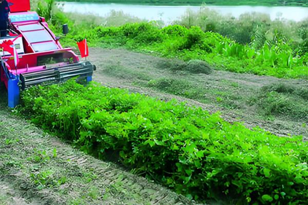 花生剥壳机是如何工作，脱壳后花生壳会被风力吹出机外