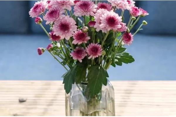 鲜花要每天都换水吗，无需每天都换水