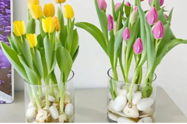 鲜花要每天都换水吗，无需每天都换水