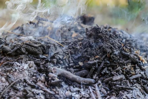 草木灰是哪种肥料，属于钾肥