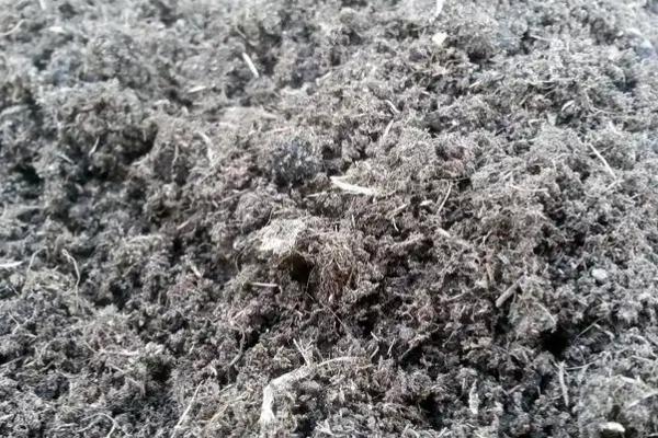 草木灰是哪种肥料，属于钾肥