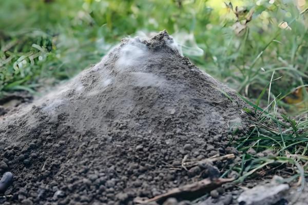 草木灰是哪种肥料，属于钾肥