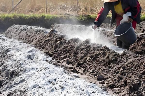 草木灰是哪种肥料，属于钾肥