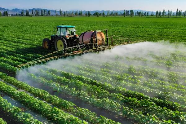毒死蜱的作用，可防治多种咀嚼式和刺吸式口器害虫