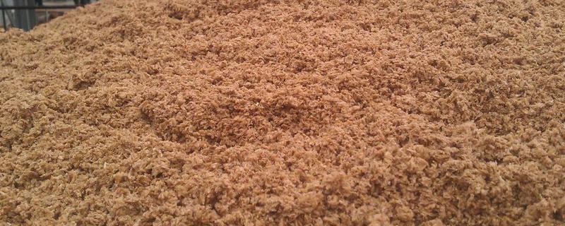 用酒糟养牛怎么配制饲料，根据牛的月龄调整酒糟的用量