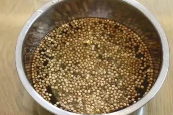 5到6月份香菜种植方法，要选择小叶品种