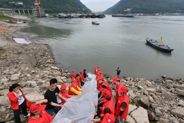 农业绿色的发展趋势,水土资源保护是发展的重要内容