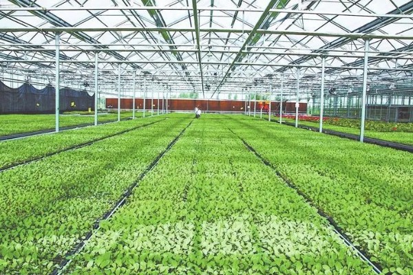 农业绿色的发展趋势,水土资源保护是发展的重要内容