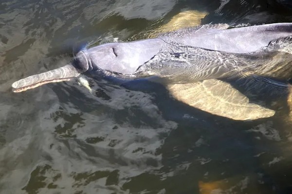农业绿色的发展趋势,水土资源保护是发展的重要内容
