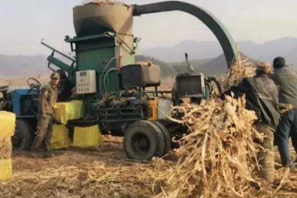 农业绿色的发展趋势,水土资源保护是发展的重要内容