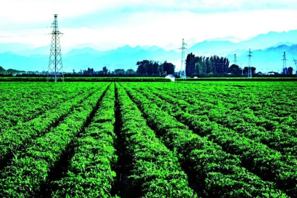 农业绿色的发展趋势,水土资源保护是发展的重要内容