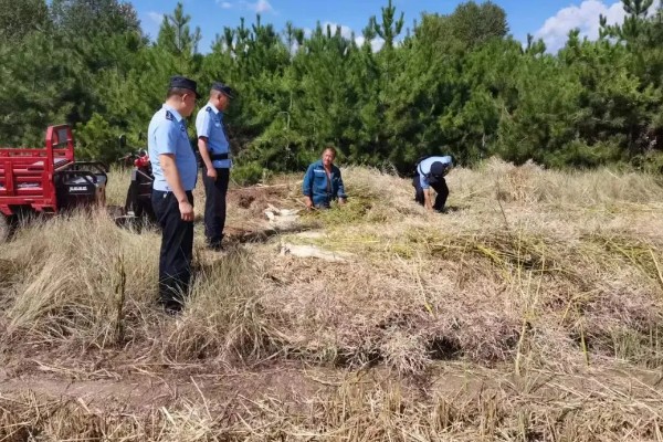 农业绿色的发展趋势,水土资源保护是发展的重要内容