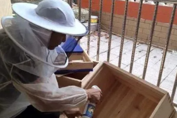 意蜂治螨的方法,主要有以下3种