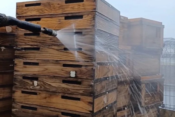 意蜂治螨的方法,主要有以下3种