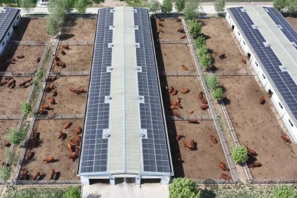 农业绿色的发展趋势,水土资源保护是发展的重要内容