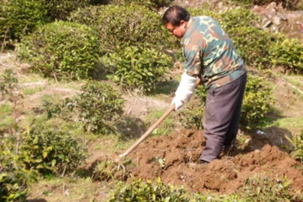 农业绿色的发展趋势,水土资源保护是发展的重要内容