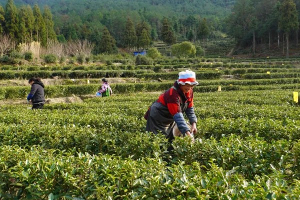 农业绿色的发展趋势,水土资源保护是发展的重要内容