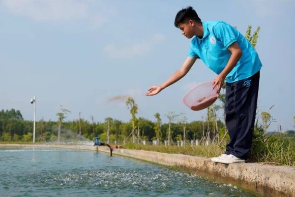 10年的鲫鱼可以长多大，可以长到50-100g左右