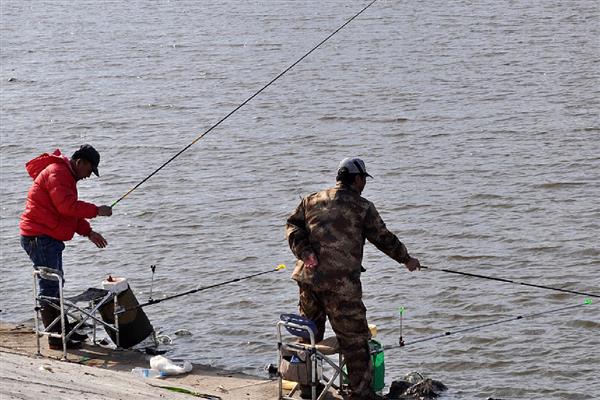 冬天怎么钓水库的鱼,晴天的中午垂钓为佳