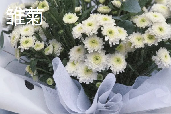 表白适合送什么花，适合送玫瑰花、紫丁香等