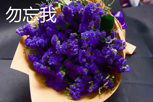 表白适合送什么花，适合送玫瑰花、紫丁香等