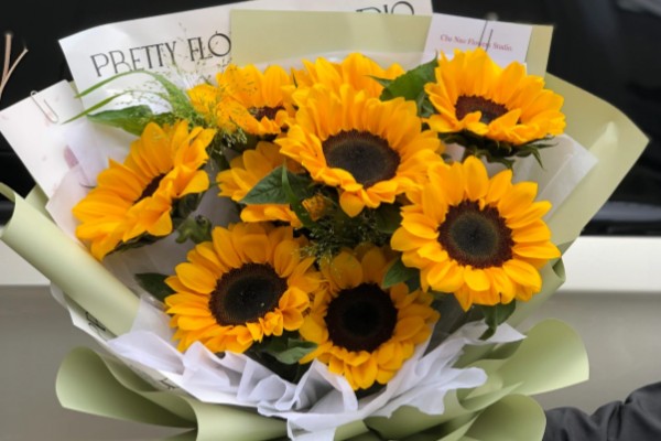 向日葵的花语，寓意忠诚、阳光开朗等