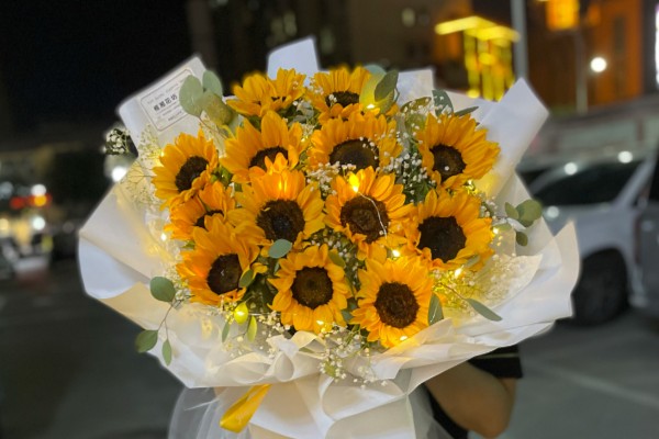 向日葵的花语，寓意忠诚、阳光开朗等