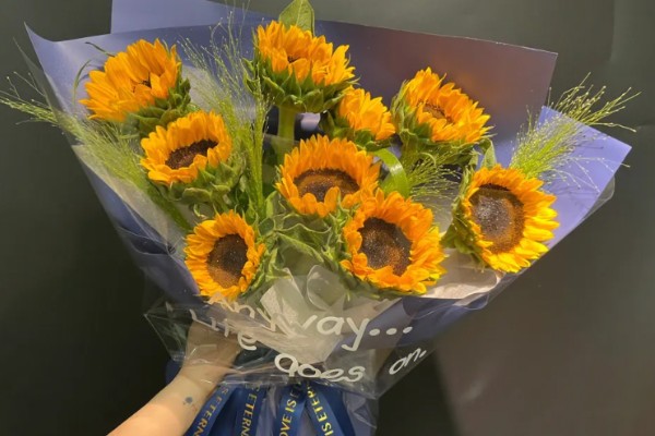 向日葵的花语，寓意忠诚、阳光开朗等