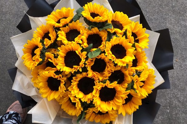 向日葵的花语，寓意忠诚、阳光开朗等