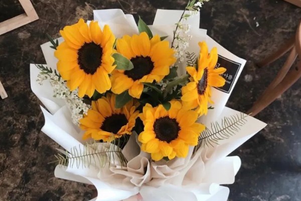 向日葵的花语，寓意忠诚、阳光开朗等