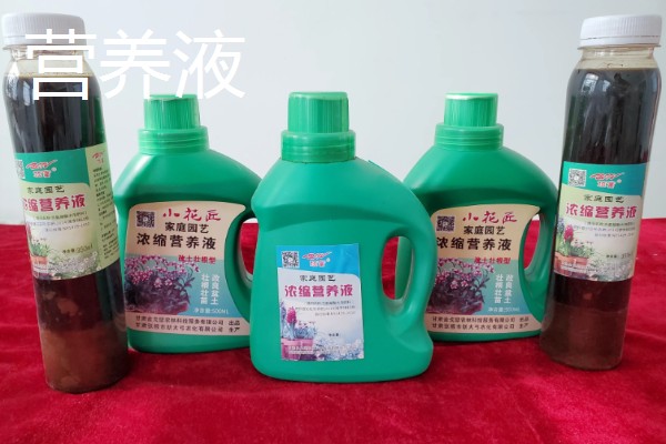 白掌喜欢哪些肥料，喜欢营养液、复合肥等