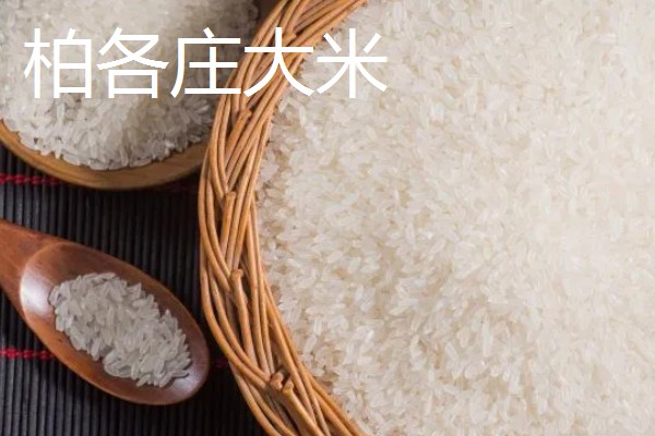 河北昌黎的特产，有昌黎扇贝、昌黎葡萄酒等种类