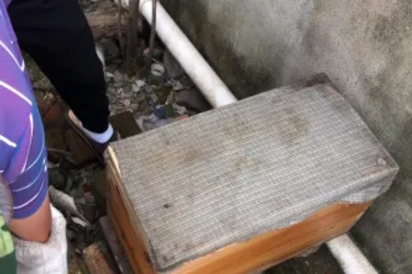 土蜂蜜是如何造假的,可能是用糖浆勾兑的