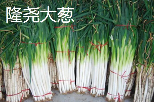 河北隆尧县的特产,有隆尧香梨、隆尧大葱等