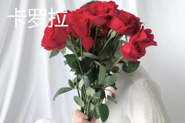 玫瑰花的品种，常见的有卡罗拉、白玫瑰等