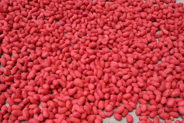 花生烂种的原因是什么，可能是品种质量不佳所致