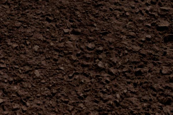 苦瓜的收获时间，开花后经过15天左右即可采收