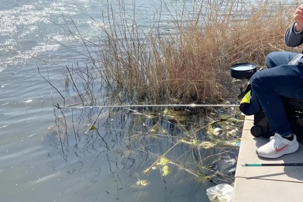 初冬能不能钓鲶鱼，适合在中午前后垂钓