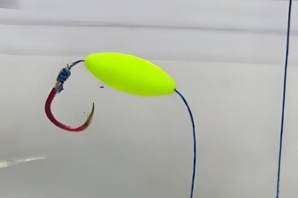 怎么用七星漂逗钓鲤鱼，轻轻将饵料稍微提起来再放下去