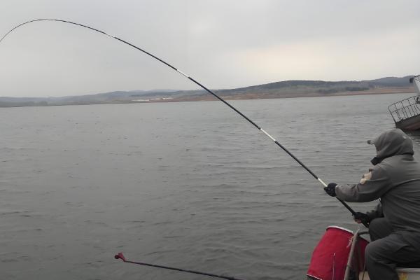 怎么用七星漂逗钓鲤鱼，轻轻将饵料稍微提起来再放下去