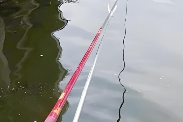 怎么用七星漂逗钓鲤鱼，轻轻将饵料稍微提起来再放下去