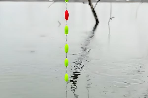 怎么用七星漂逗钓鲤鱼，轻轻将饵料稍微提起来再放下去