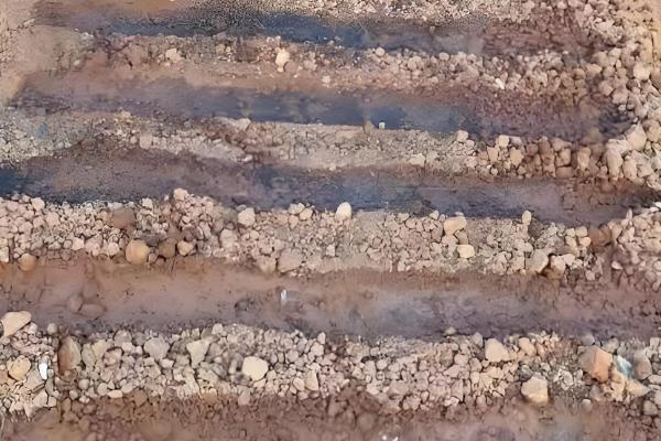 对菠菜施什么肥料可以增加产量，采用有机肥作基肥