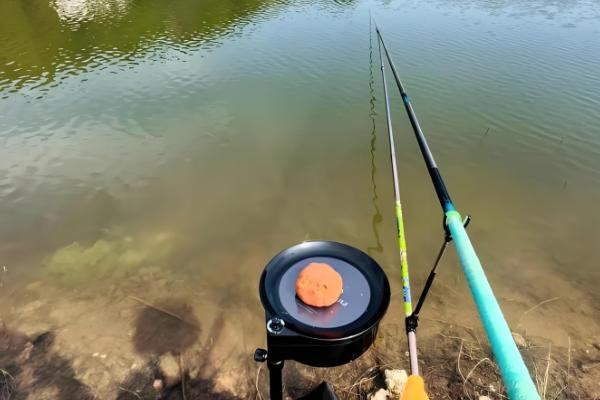 钓草鱼最有效的饵料,推荐豆饼、菜叶、南瓜等