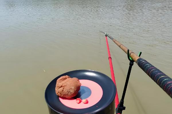 钓草鱼最有效的饵料,推荐豆饼、菜叶、南瓜等