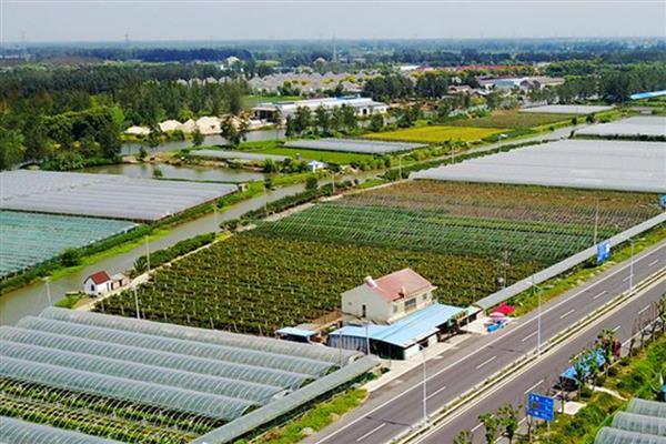 农业互助合作发展的原则,原则是自愿互利