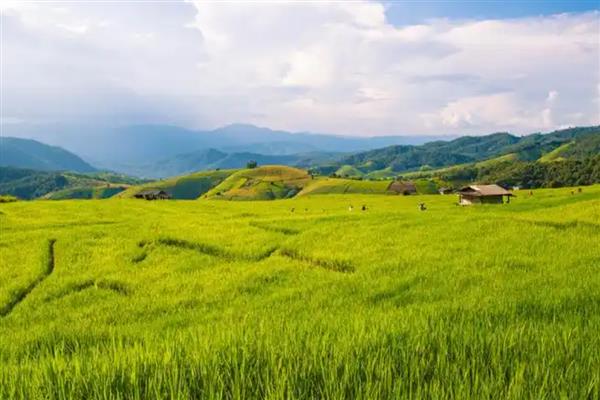 农业互助合作发展的原则,原则是自愿互利