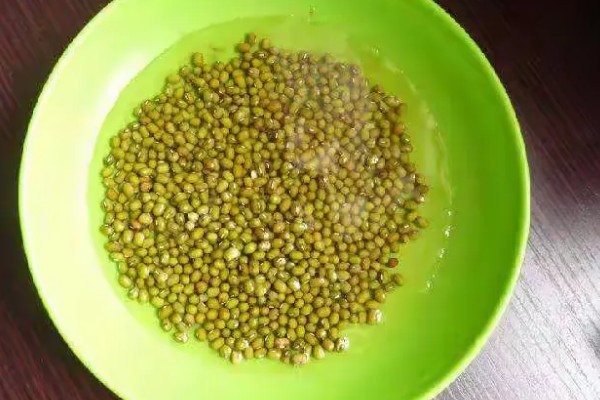 绿豆的种植方法,春夏季节都可以进行播种