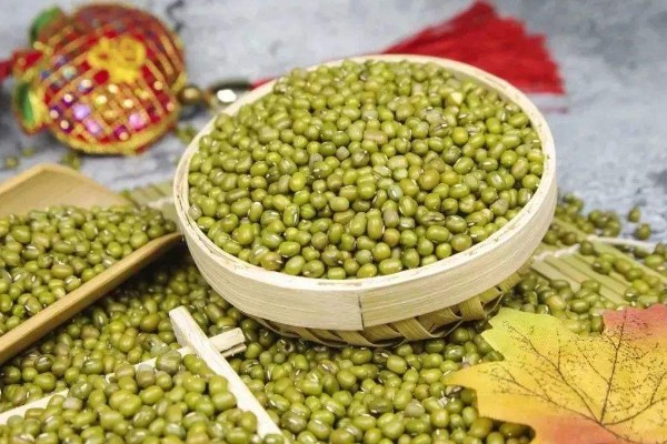 绿豆的种植方法,春夏季节都可以进行播种